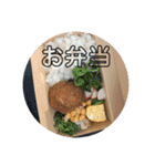 40品（個別スタンプ：32）