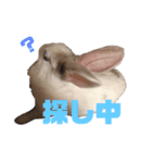うさぎのマム（個別スタンプ：8）
