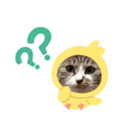 K's Happy family（個別スタンプ：1）