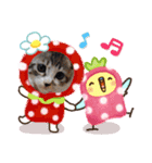 K's Happy family（個別スタンプ：3）