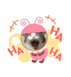 K's Happy family（個別スタンプ：9）