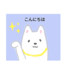 犬と人（個別スタンプ：1）