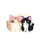 ねこにかつおぶし（個別スタンプ：1）