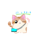 ねこにかつおぶし（個別スタンプ：6）