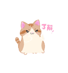 ねこにかつおぶし（個別スタンプ：8）