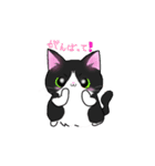 ねこにかつおぶし（個別スタンプ：16）