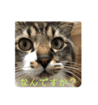 マーちろ（個別スタンプ：5）