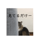 マーちろ（個別スタンプ：9）