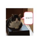 マーちろ（個別スタンプ：12）