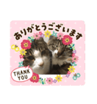 マーちろ（個別スタンプ：13）
