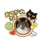 マーちろ（個別スタンプ：15）