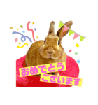 ちゃんぴなの日常（個別スタンプ：7）