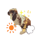 ちゃんぴなの日常（個別スタンプ：8）