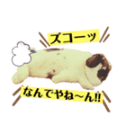 ちゃんぴなの日常（個別スタンプ：12）