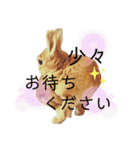 ちゃんぴなの日常（個別スタンプ：16）