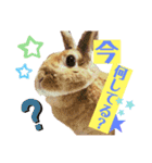 ちゃんぴなの日常（個別スタンプ：22）