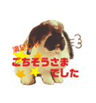 ちゃんぴなの日常（個別スタンプ：24）