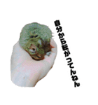 ハードボイルドデグーもちまる（個別スタンプ：4）