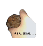 ハードボイルドデグーもちまる（個別スタンプ：10）