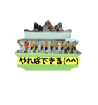 サッカー  仲間（個別スタンプ：6）