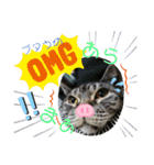猫(オシキャット)の清水梅さん～forever～（個別スタンプ：16）
