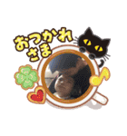 満天ファミリー2（個別スタンプ：17）