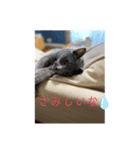 うちのチャイルド（個別スタンプ：3）