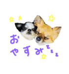 ぶっくカウ（個別スタンプ：5）