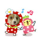 もけすけ（個別スタンプ：5）