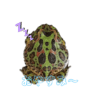 カエル2（個別スタンプ：6）
