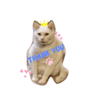 豊作諭吉金太郎です。（個別スタンプ：1）