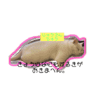 豊作諭吉金太郎です。（個別スタンプ：12）
