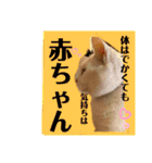 豊作諭吉金太郎です。（個別スタンプ：15）