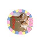豊作諭吉金太郎です。（個別スタンプ：20）