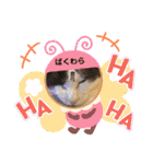 豊作諭吉金太郎です。（個別スタンプ：23）