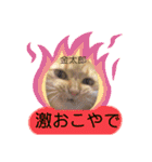 豊作諭吉金太郎です。（個別スタンプ：24）