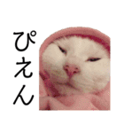 猫学生の日常〜コロナ対策を添えて〜（個別スタンプ：3）