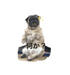 アオバの気分（個別スタンプ：4）