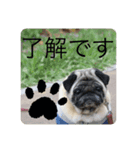 アオバの気分（個別スタンプ：7）