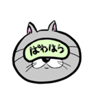 アイマスクをつけた猫（個別スタンプ：34）