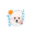リオくん♂スタンプ（個別スタンプ：1）