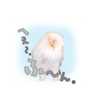 リオくん♂スタンプ（個別スタンプ：2）