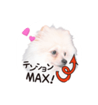 リオくん♂スタンプ（個別スタンプ：3）