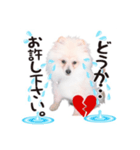 リオくん♂スタンプ（個別スタンプ：6）