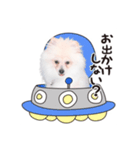 リオくん♂スタンプ（個別スタンプ：7）