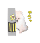 リオくん♂スタンプ（個別スタンプ：8）