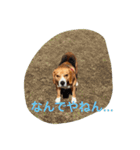 ライリーといっしょ♡（個別スタンプ：14）