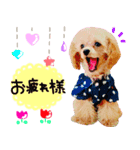MIHIRO♡愛犬マロン（個別スタンプ：6）