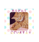 ぐり坊 4（個別スタンプ：3）