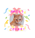 ぐり坊 4（個別スタンプ：4）